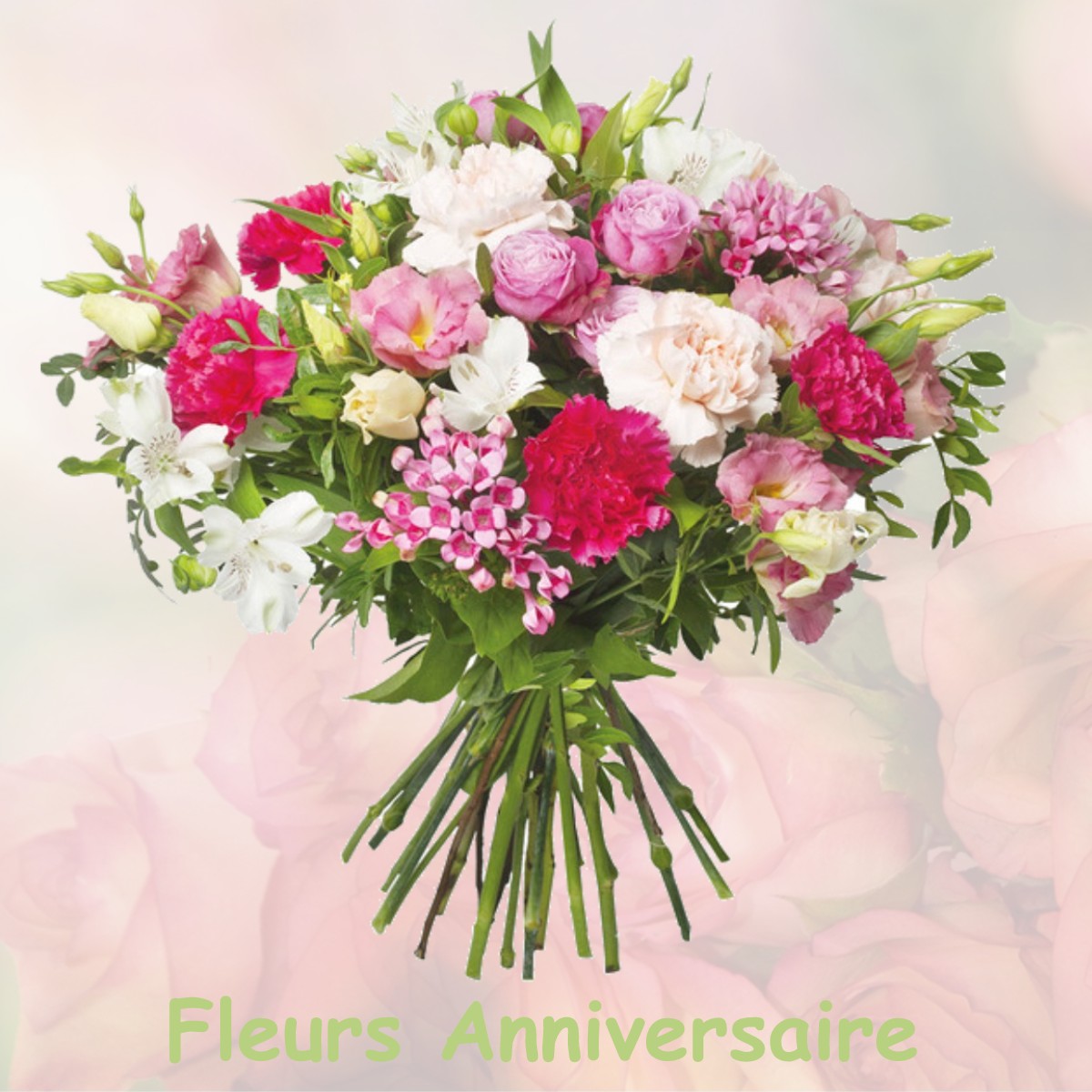 fleurs anniversaire MONTSOUE