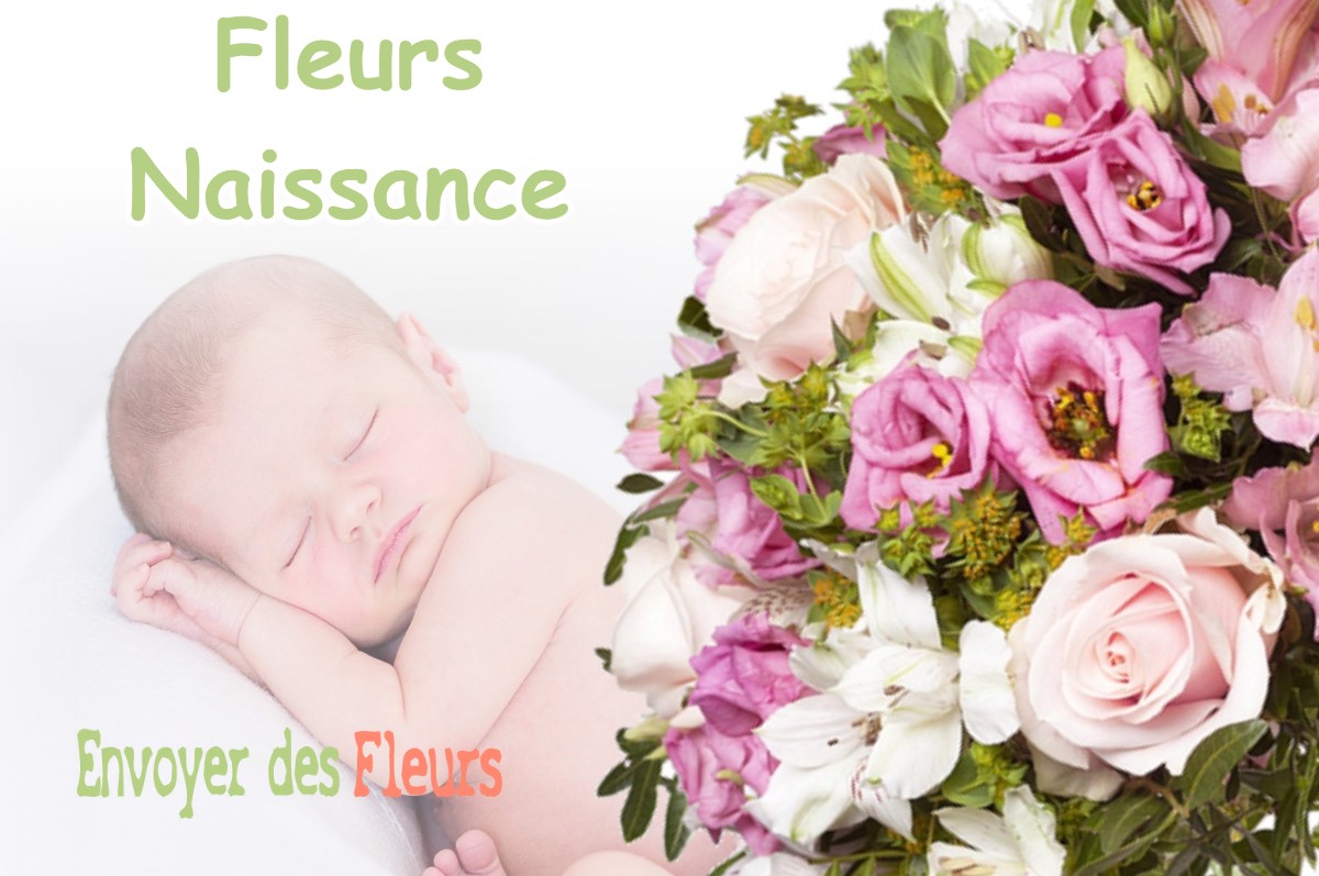 lIVRAISON FLEURS NAISSANCE à MONTSOUE